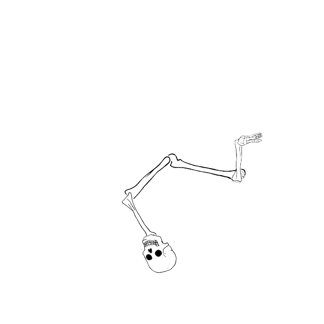 Dem bones dem bones dem – dry bones!