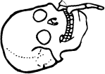 Dem bones dem bones dem – dry bones!