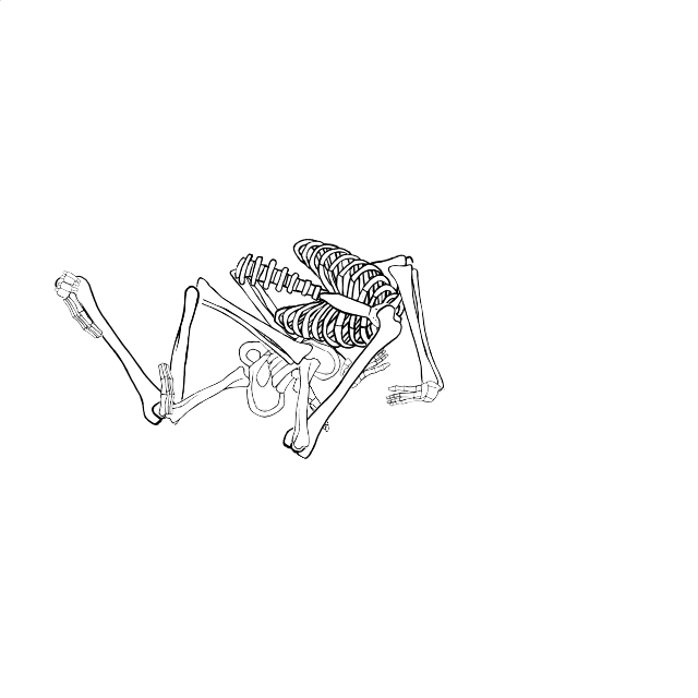 Dem bones dem bones dem – dry bones!