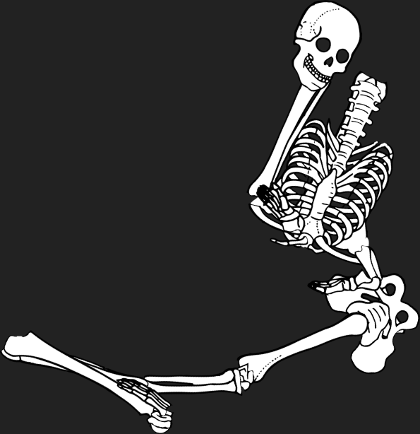 Dem bones dem bones dem – dry bones!