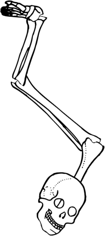 Dem bones dem bones dem – dry bones!