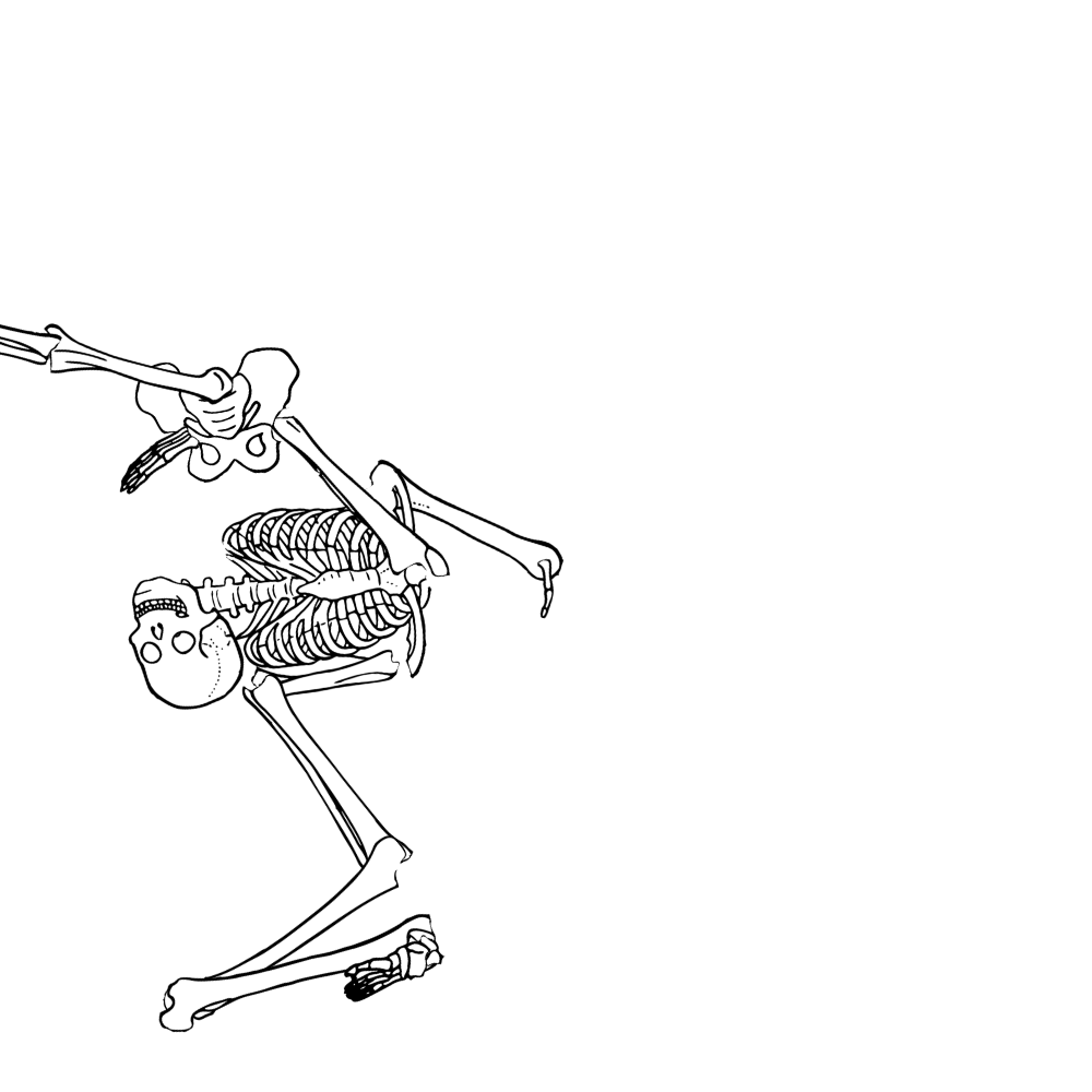 Dem bones dem bones dem – dry bones!