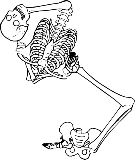Dem bones dem bones dem – dry bones! Dem bones dem bones dem – extra bones!
