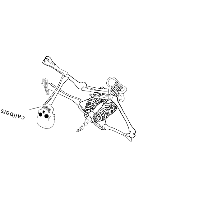 Dem bones dem bones dem – dry bones!