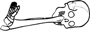 Dem bones dem bones dem – dry bones!