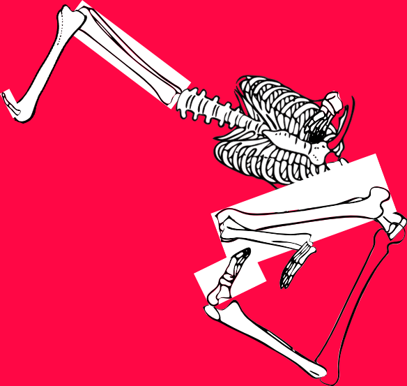 Dem bones dem bones dem – dry bones!