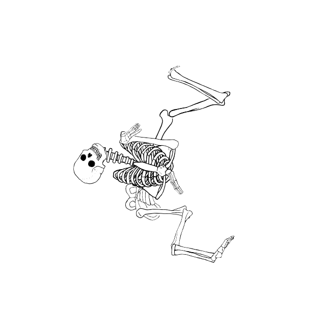 Dem bones dem bones dem – dry bones!