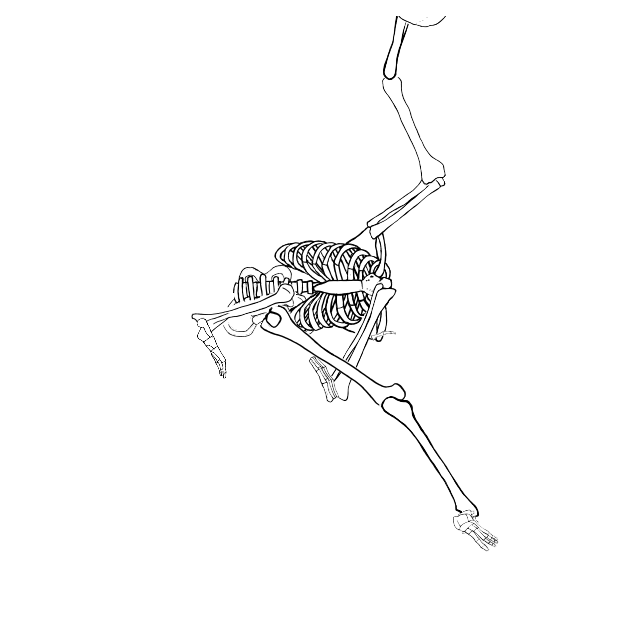 Dem bones dem bones dem – dry bones!