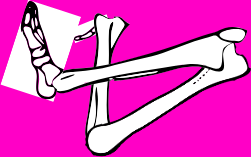 Dem bones dem bones dem – dry bones!