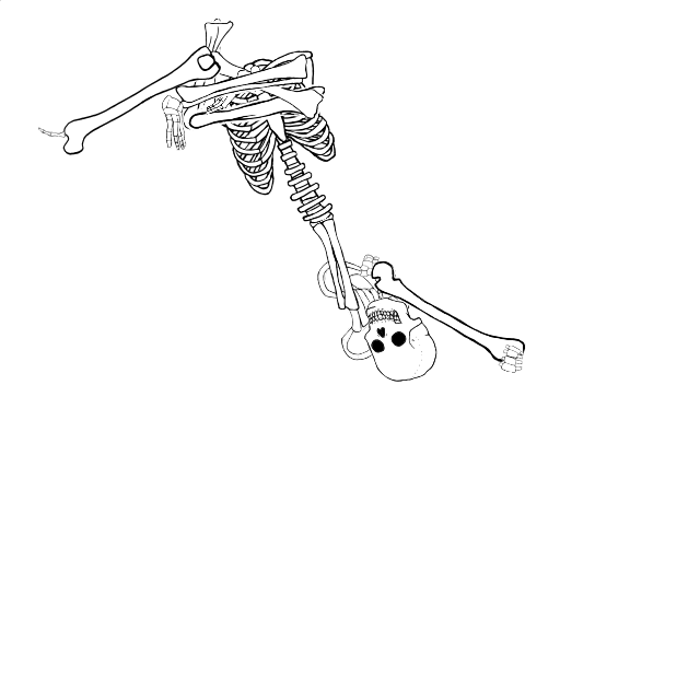 Dem bones dem bones dem – dry bones!