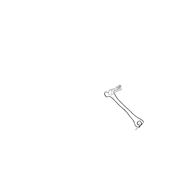 Dem bones dem bones dem – dry bones!