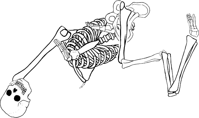 Dem bones dem bones dem – dry bones!