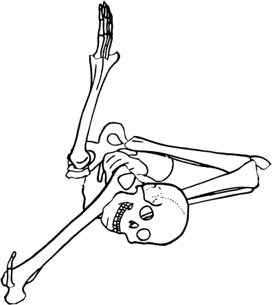 Dem bones dem bones dem – dry bones!