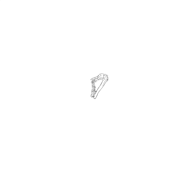 Dem bones dem bones dem – dry bones!