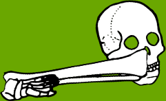 Dem bones dem bones dem – dry bones!