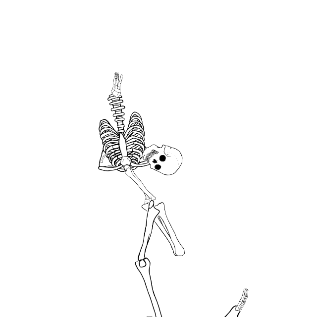 Dem bones dem bones dem – dry bones!