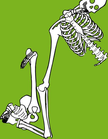 Dem bones dem bones dem – dry bones! Dem bones dem bones dem – extra bones!