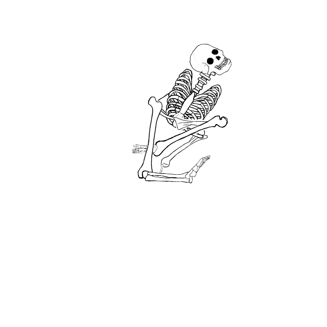 Dem bones dem bones dem – dry bones!