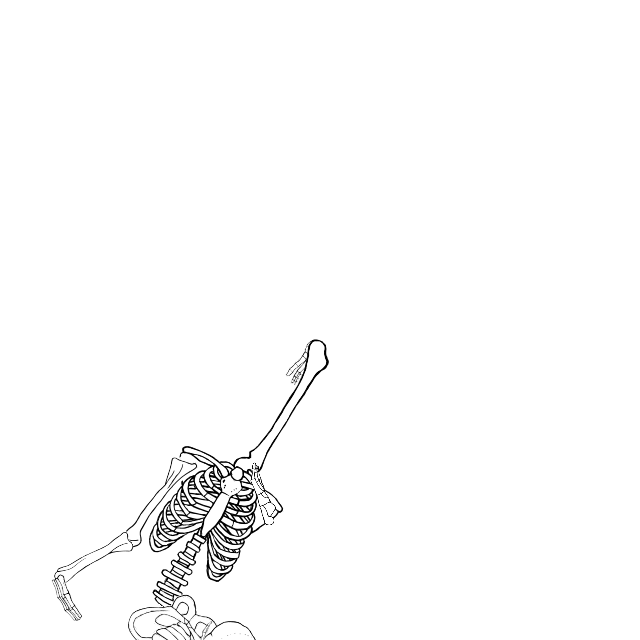 Dem bones dem bones dem – dry bones!