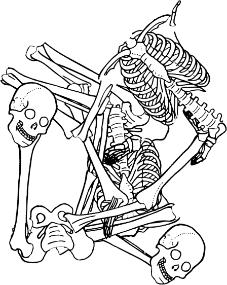 Dem bones dem bones dem – dry bones! Dem bones dem bones dem – extra bones!