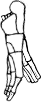 Dem bones dem bones dem – dry bones!