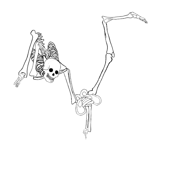 Dem bones dem bones dem – dry bones!