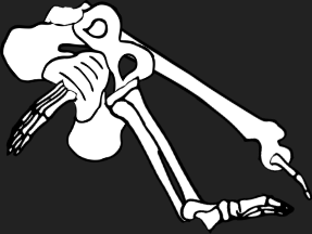 Dem bones dem bones dem – dry bones! Dem bones dem bones dem – extra bones!