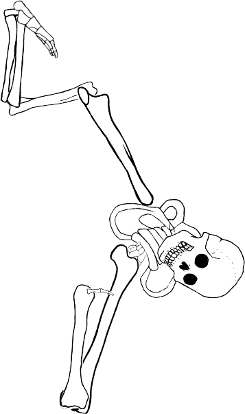 Dem bones dem bones dem – dry bones!
