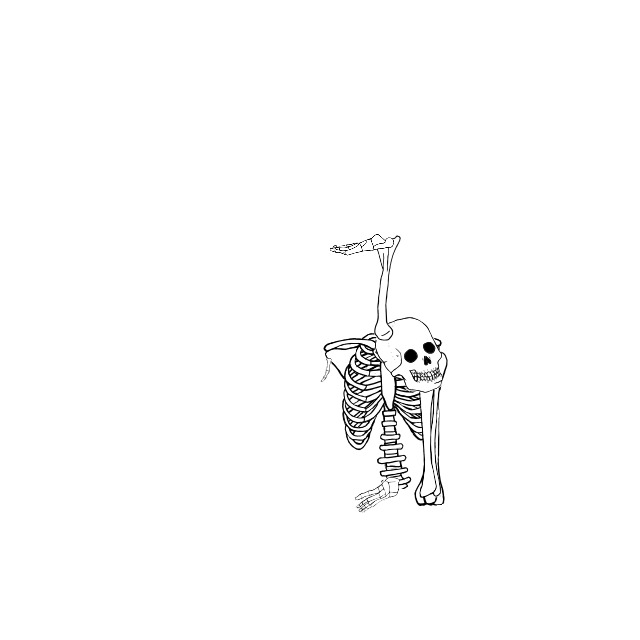 Dem bones dem bones dem – dry bones!