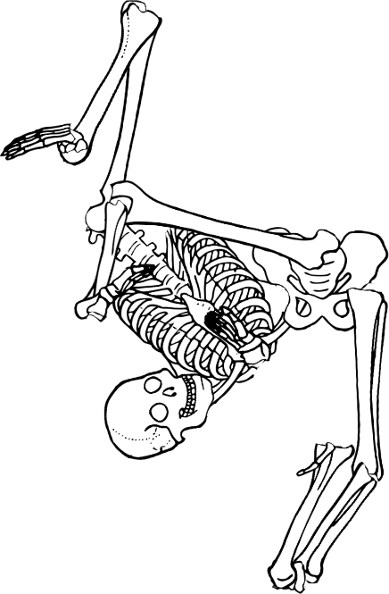 Dem bones dem bones dem – dry bones!