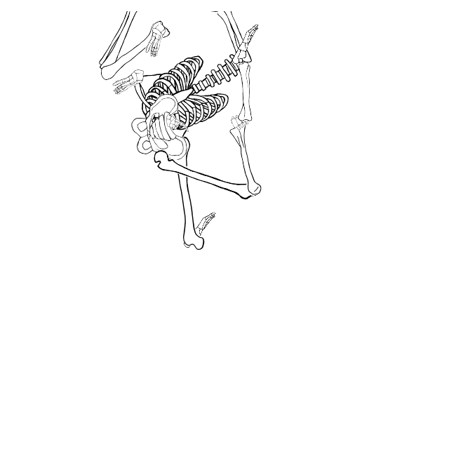 Dem bones dem bones dem – dry bones!