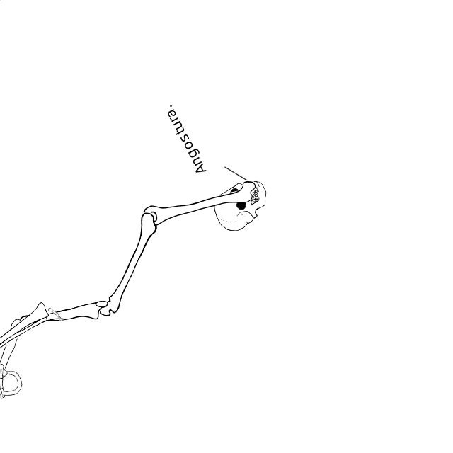 Dem bones dem bones dem – dry bones!