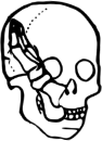 Dem bones dem bones dem – dry bones!