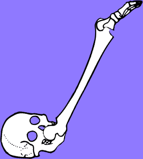 Dem bones dem bones dem – dry bones!