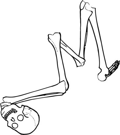 Dem bones dem bones dem – dry bones!