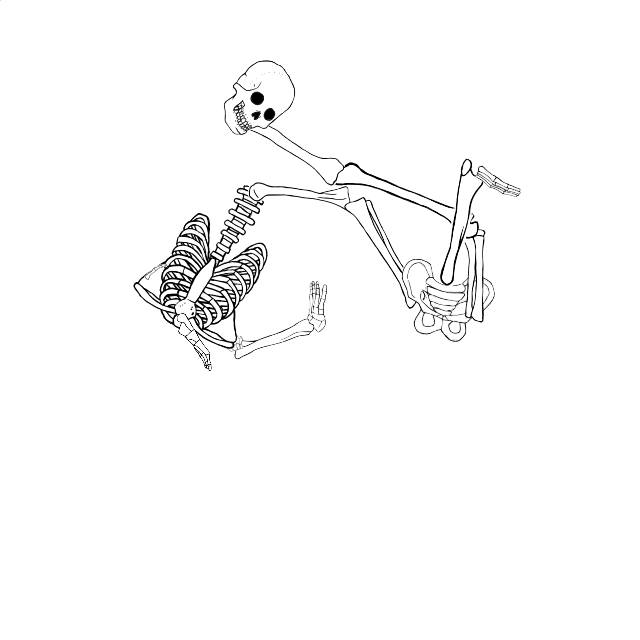 Dem bones dem bones dem – dry bones!