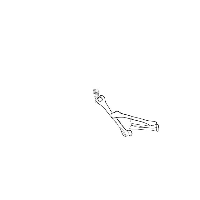 Dem bones dem bones dem – dry bones!