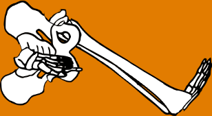 Dem bones dem bones dem – dry bones!