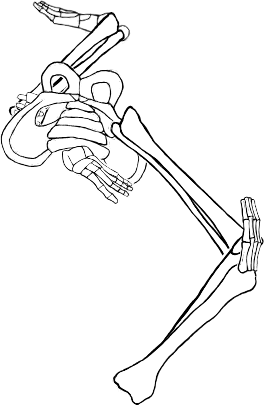 Dem bones dem bones dem – dry bones!