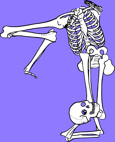Dem bones dem bones dem – dry bones!