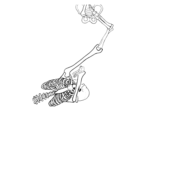 Dem bones dem bones dem – dry bones!