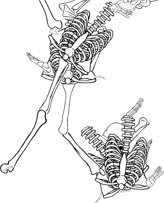 Dem bones dem bones dem – dry bones!