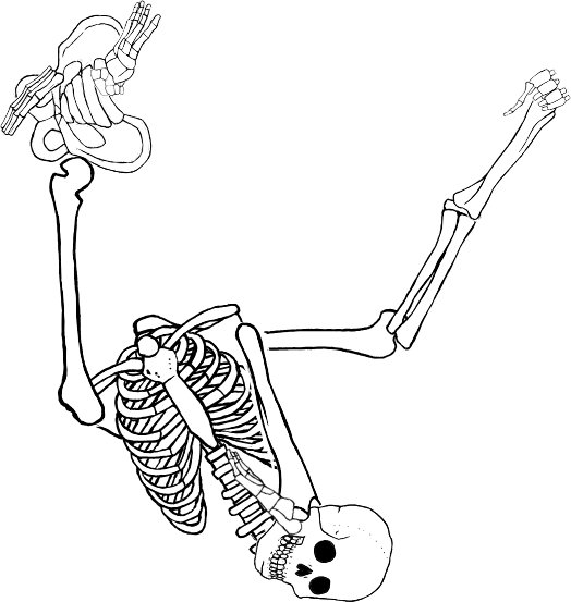 Dem bones dem bones dem – dry bones!
