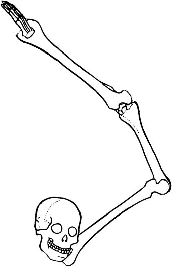 Dem bones dem bones dem – dry bones!