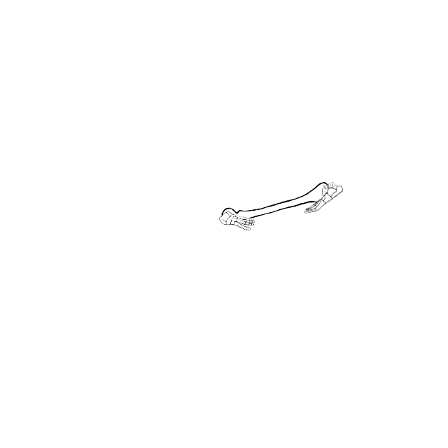 Dem bones dem bones dem – dry bones!