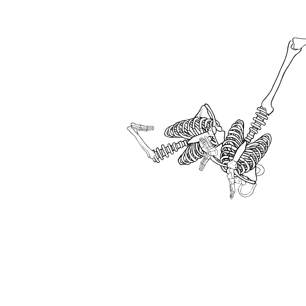 Dem bones dem bones dem – dry bones!