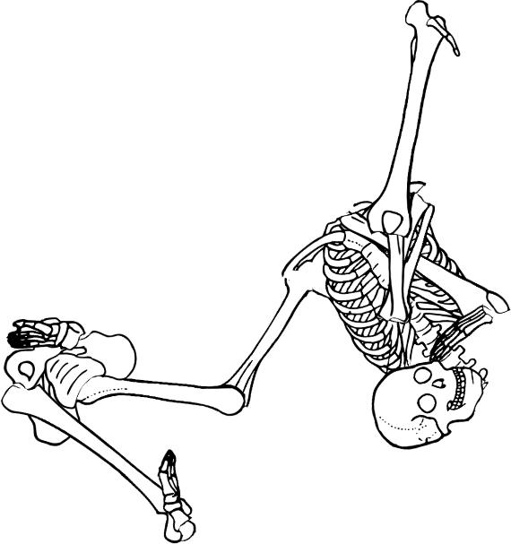 Dem bones dem bones dem – dry bones!