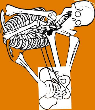 Dem bones dem bones dem – dry bones!