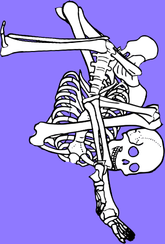 Dem bones dem bones dem – dry bones!