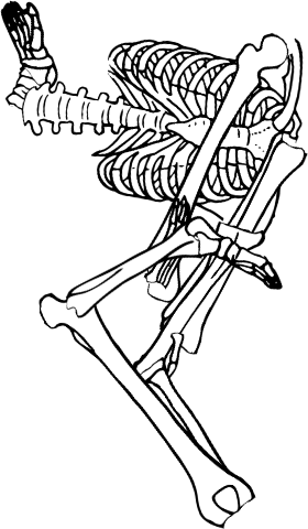 Dem bones dem bones dem – dry bones!